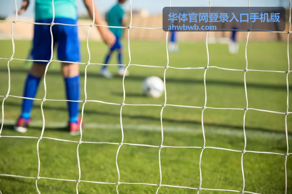华体官网登录入口手机版登录环境异常核实的说明配图